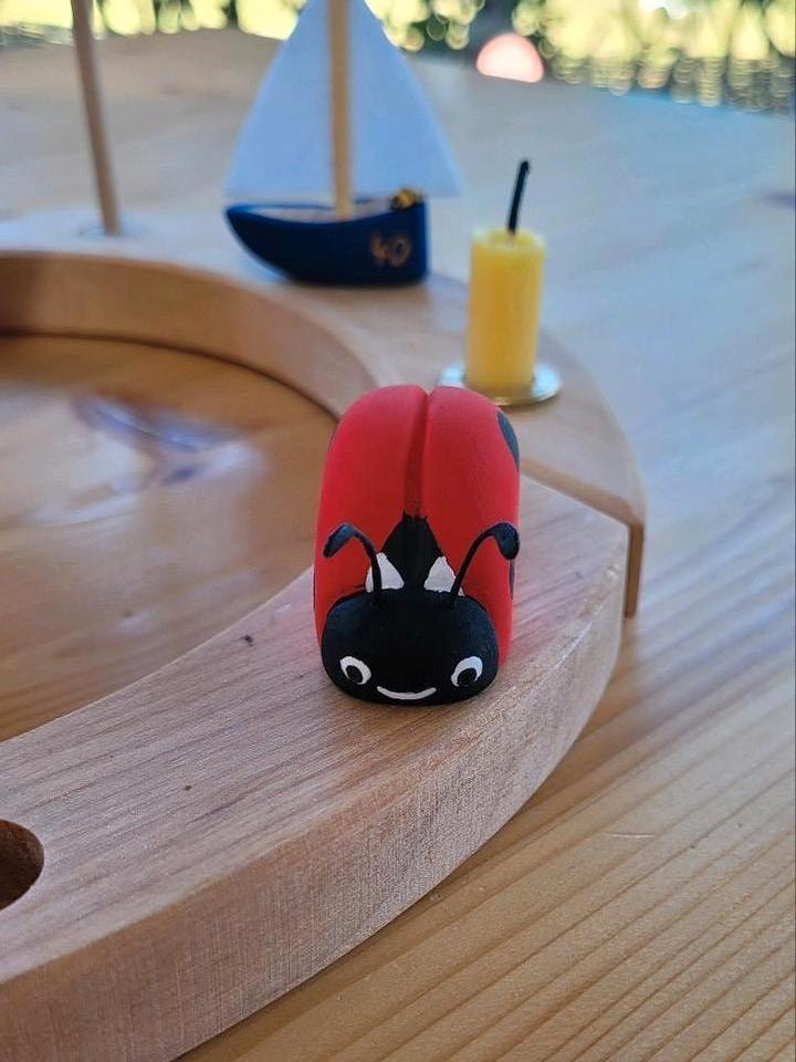 Steckfigur für Geburtstagsring - Marienkäfer- komp. Grimms in Husum