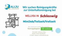 Dringend Reinigungskraft gesucht Schleswig-Holstein - Schleswig Vorschau