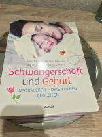 Buch - Schwangerschaft und Geburt Brandenburg - Wittenberge Vorschau