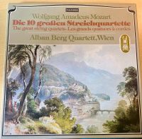 VINYL ‚Die zehn großen Streichquartette‘ Mozart top Zustand Niedersachsen - Seevetal Vorschau