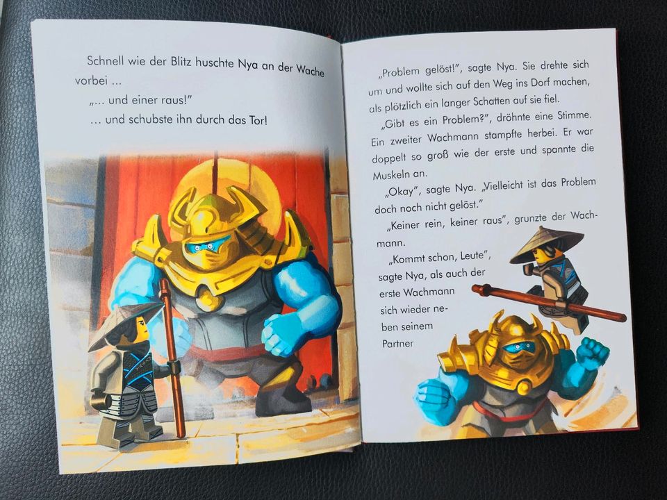 Ninjago Bücher neu in Starsiedel