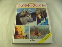 Treff Jugendbuch 1993, Velber Verlag, Abenteuer und Reportagen Bayern - Bamberg Vorschau