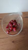 Glas Schüssel Schale Glastüte für Obst Bayern - Hof (Saale) Vorschau