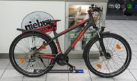 Raleigh Daymax ATB, Jugendrad, MTB, schwarz-rot, 29" Nordrhein-Westfalen - Bocholt Vorschau