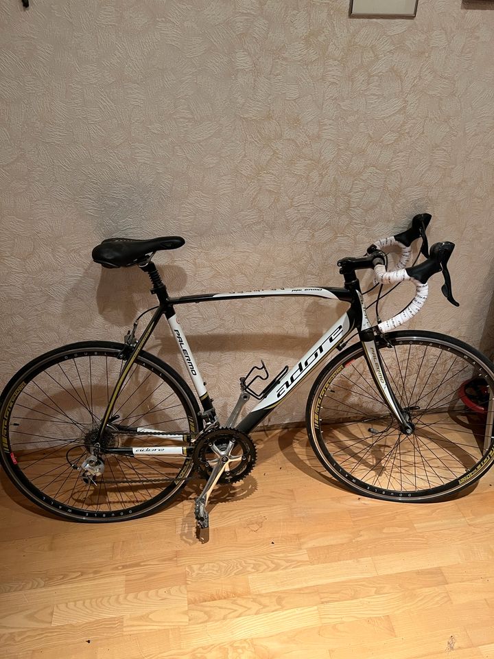 Rennrad Palermo Adore 28“ in Langelsheim