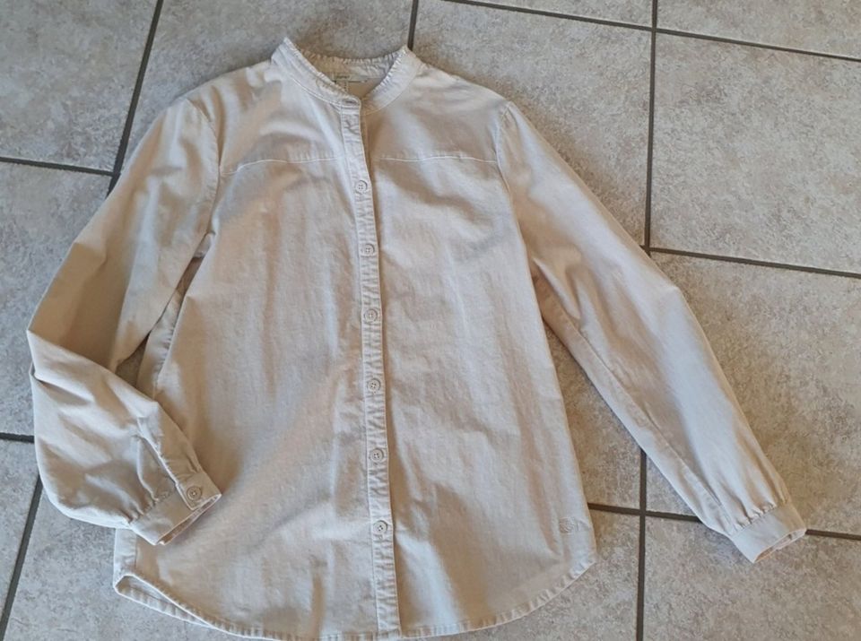 ESPRIT Damen Bluse Tunika Cord Gr. 38 Baumwolle NEU* in Dachsenhausen