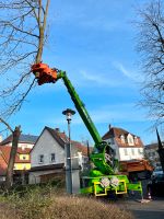 Baumpflege, Eichenprozessionsspinner, Baumfällung, Rasen mähen Baden-Württemberg - Crailsheim Vorschau