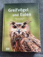 Greifvögel und Eulen Arten kennenlernen und bestimmen Hessen - Waldkappel Vorschau