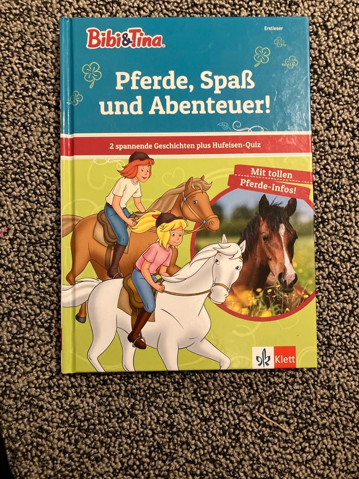 Pferde, Spaß und Abenteuer! in Rottenburg a.d.Laaber