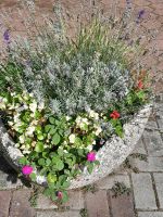 Blumenschale schwere Qualität Niedersachsen - Achim Vorschau
