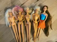 Barbie 5 Stück für 7 Nordrhein-Westfalen - Lünen Vorschau