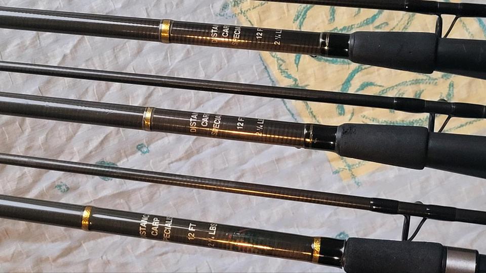 Distance Carp Specialist 12ft 2,25lbs 2x by Koopman Beenebroek in Esslingen