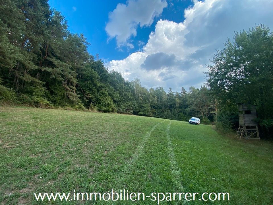 LANDWIRTSCHAFTSFLÄCHE IN DÖLLNITZ BEI PRESSATH in Pressath