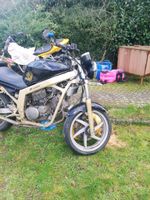 2x Hyosung GT125 ohne Papier ,❗Notverkauf❗ (Bridgestone BT46 neu) Hessen - Reiskirchen Vorschau