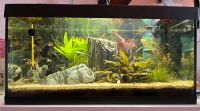 ❌Aquarium Tetra 54ltr LED mit viel Zubehör u. Fischen❌ Schleswig-Holstein - Schülldorf Vorschau