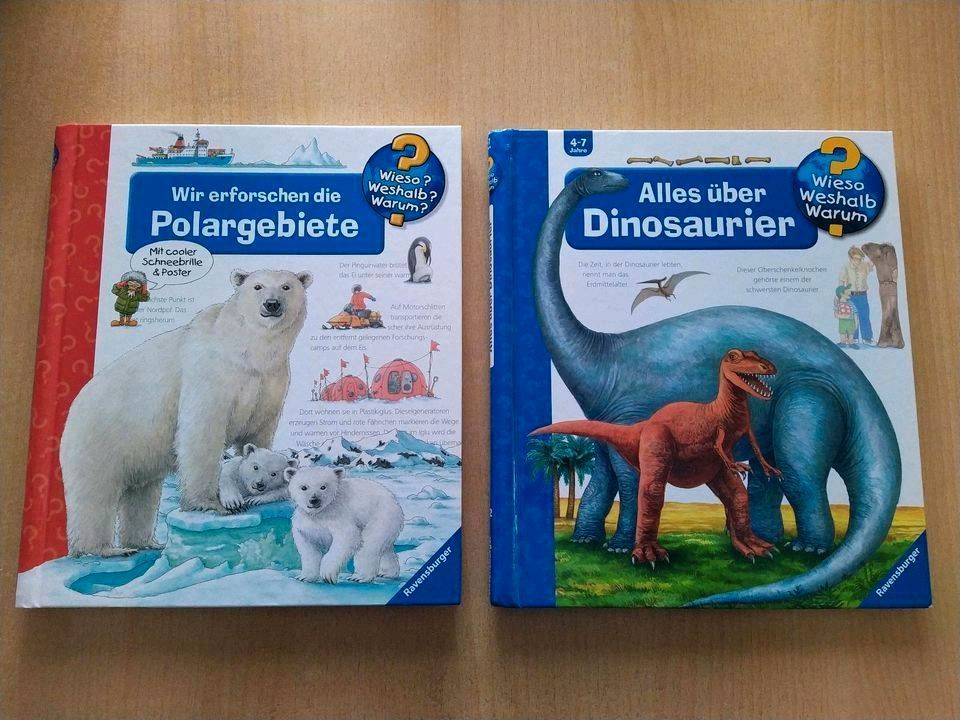 Wieso Weshalb Warum: Tiere Fußball Uhr Zeit Polar Dinosaurier; ab in Buchholz in der Nordheide