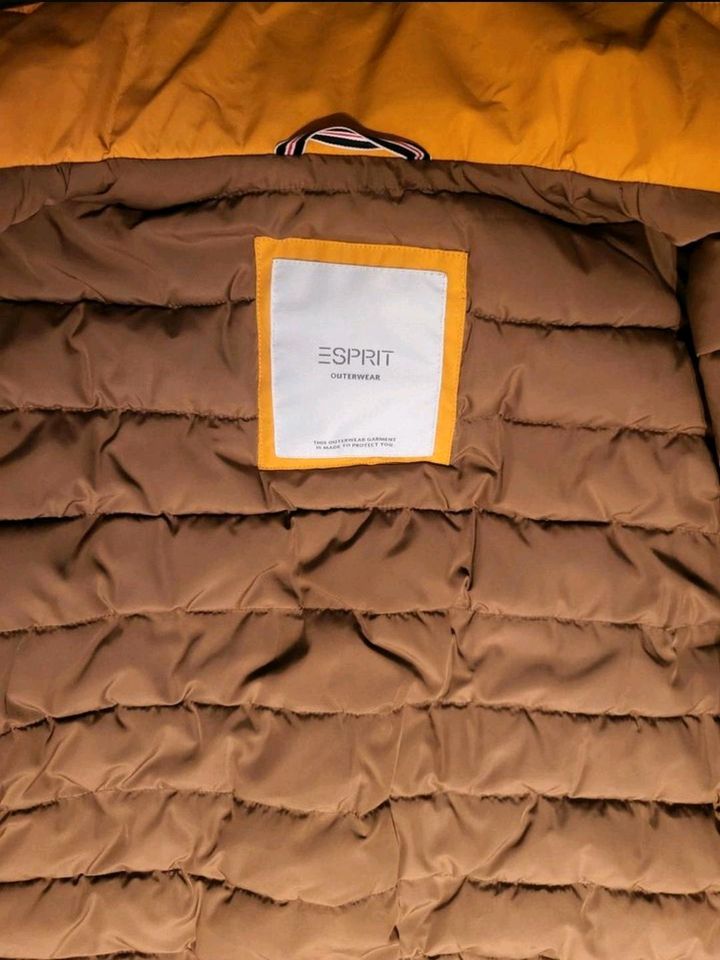 Esprit Herren Parka S senfgelb wie neu in Ratingen