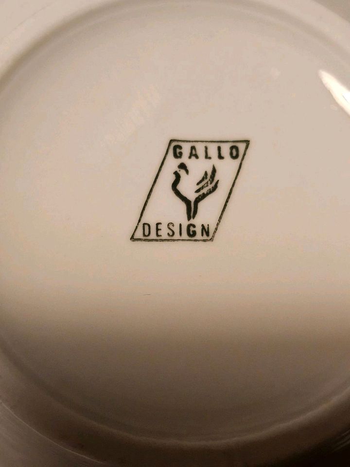 Villeroy & Boch Geschirr „Gallo“. in Edewecht