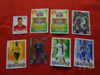 verschiedene Fußball Bilder Match Attax Sachsen - Rechenberg-Bienenmühle Vorschau