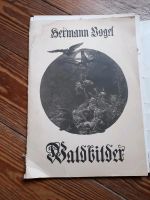 Waldbilder  Hermann Vogel, Nachdruck Baden-Württemberg - Tübingen Vorschau