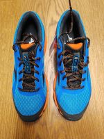 Mizuno Herren Laufschuhe Gr.44 Sachsen-Anhalt - Nebra (Unstrut) Vorschau