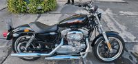 Harley-Davidson 35Kw 883 Sportster A2 Führerschein Berlin - Charlottenburg Vorschau