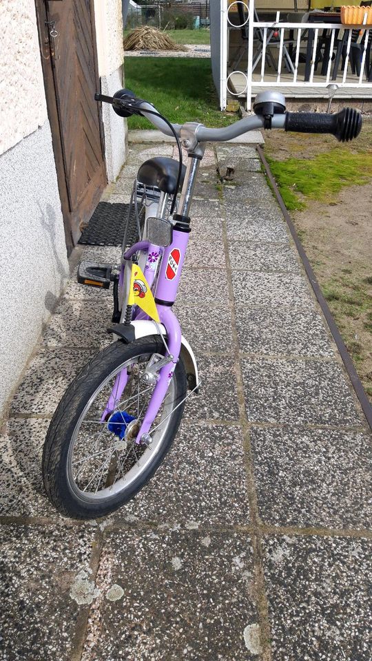 Puky Mädchen Fahrrad 16 zoll in Wriezen