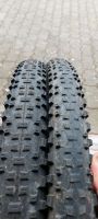 2x Reifen 29 2,25 Zoll Schwalbe Rapid Rob Hessen - Langen (Hessen) Vorschau