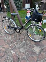 Fahrrad 26 Zoll Sachsen - Naunhof Vorschau