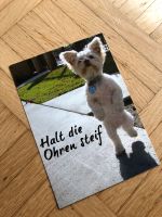 Postkarte Hund „Halte die Ohren steif“ mit Hundemotiv Thüringen - Jena Vorschau