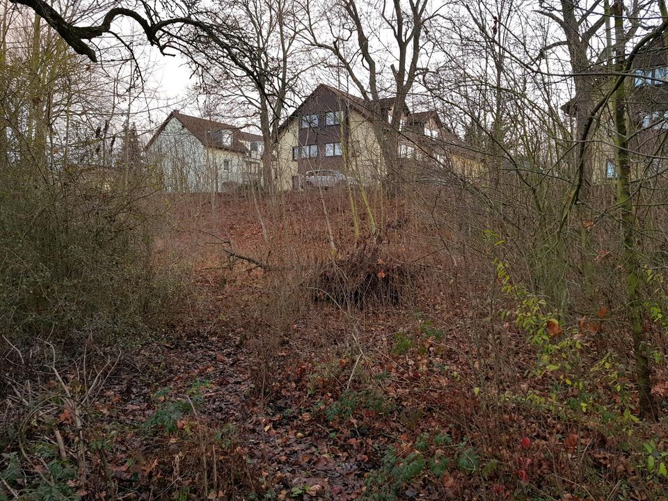 Grundstück zum vermietung 35,-€/Monatlich VB in Weißenfels