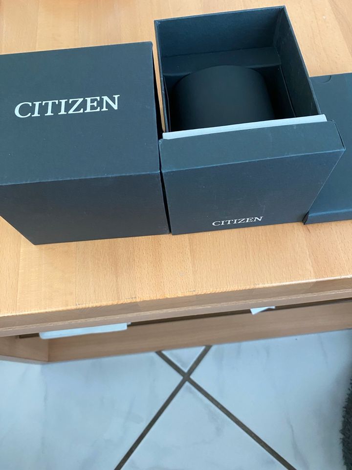 Citizen Promaster BN4021-02 E wie Neu in Biblis