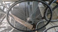 Fahrrad Vorderrad 28 Zoll Nabendynamo Shimano Nordrhein-Westfalen - Lippstadt Vorschau