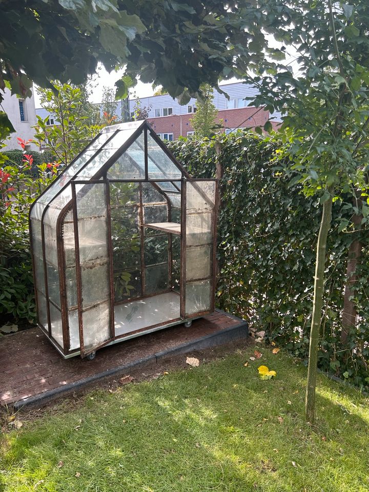 Fantastisches Gewächshaus greenhouse in Emlichheim