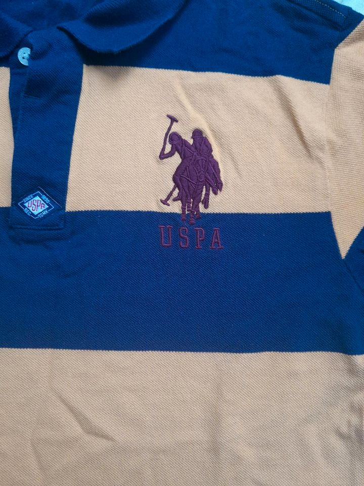 POLO  US. ASSN t shirt in Wuppertal