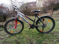 Fahrrad Mädchen 26zoll Hessen - Gedern Vorschau