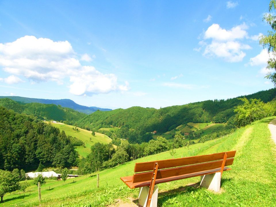 Ferienhaus im Schwarzwald in Alleinlage, Ferienwohnungen Panorama in Oppenau