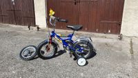 12 1/2 Zoll 12,5" Kinderfahrrad Jungen Fahrrad Mountainbike Blau Sachsen-Anhalt - Lutherstadt Wittenberg Vorschau