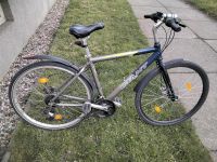 Mountainbike Herren 28" Sachsen - Torgau Vorschau