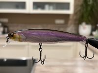 ILLEX Arnaud 100F Zander Wobbler NEU Farbe SG WAKASAGI Nordrhein-Westfalen - Gangelt Vorschau