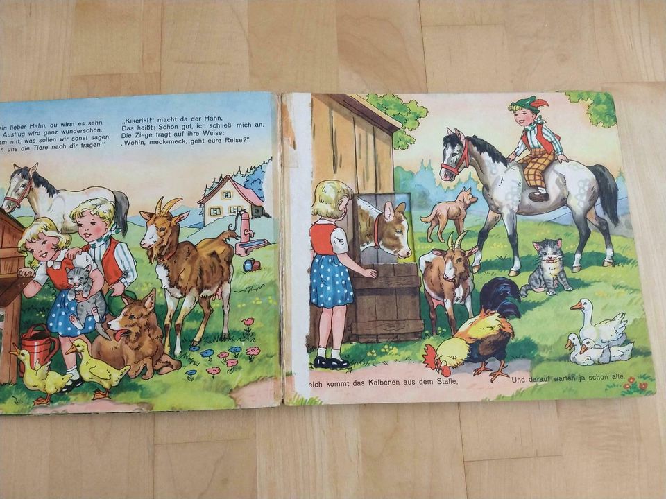 Puck und Puckis Tiere - Antiquarisches Kinderbuch, Pestalozzi in Oberursel (Taunus)