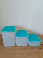 Neu & OVP Tupperware Quaddro Set Vorratsdosen eckig Rheinland-Pfalz - Neunkirchen am Potzberg Vorschau