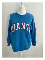 H&M Pullover blau gr. L Nordrhein-Westfalen - Euskirchen Vorschau