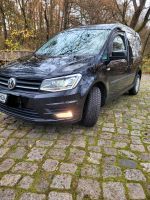 Vw Caddy Xenon Winterpaket Ludwigslust - Landkreis - Hagenow Vorschau