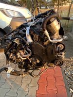 Motor Mercedes W212 350 CDI 642850 231PS Komplett Berlin - Wilmersdorf Vorschau