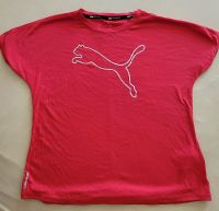 Puma Tshirt Damen Gr.. M Leipzig - Großzschocher Vorschau