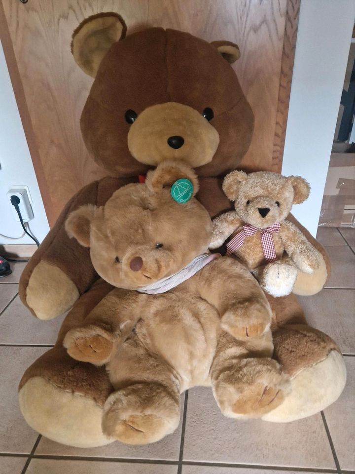 Bärenfamilie sucht neues Zuhause in Issum