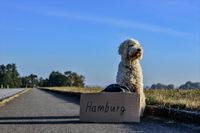 Haushaltsauflösung mit Wertanrechnung + Kurzfriste Termine frei Hamburg-Mitte - Hamburg Hammerbrook Vorschau