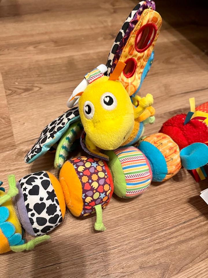 Lamaze Raupe Motte Glühwürmchen Haba Motorik Activity Baby in Köln