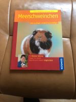 Meerschweinchen halten pflegen beschäftigen Niedersachsen - Wardenburg Vorschau
